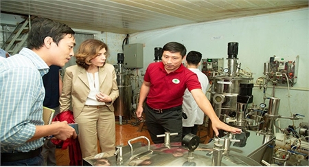 World Bank: Tiếp tục hỗ trợ các dự án khởi nghiệp đổi mới sáng tạo tại Việt Nam